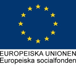 Europeiska Unionen Europeiska socialfonden